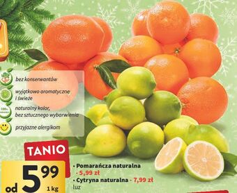 Intermarche Pomarańcze oferta