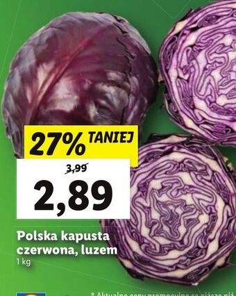 Lidl Kapusta czerwona oferta