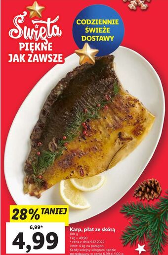 Lidl Karp płat oferta