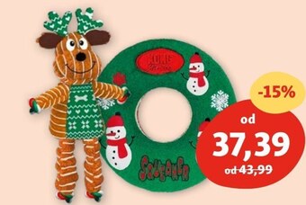 Maxi Zoo Zabawka dla psa kong oferta