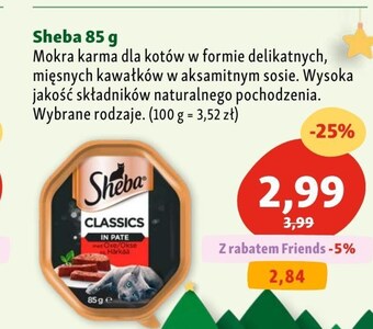 Maxi Zoo Karma dla kota sheba oferta
