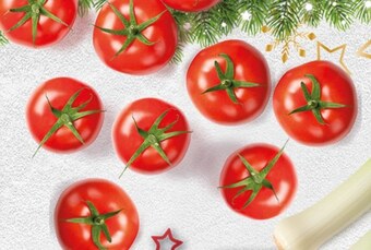 Topaz Pomidory oferta