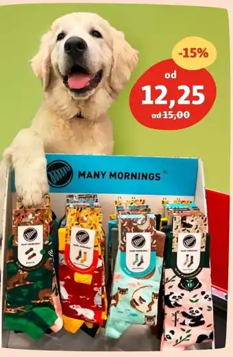 Maxi Zoo Skarpety many mornings oferta