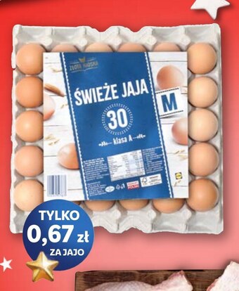 Lidl Jaja oferta