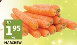 Auchan Marchew oferta