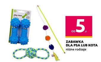 Dealz Zabawka dla psa oferta