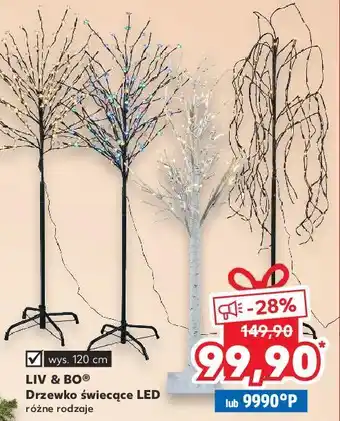 Kaufland Drzewko świąteczne led liv & bo oferta