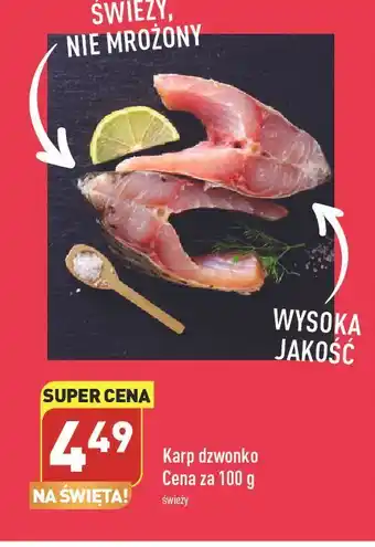 ALDI Karp dzwonko oferta