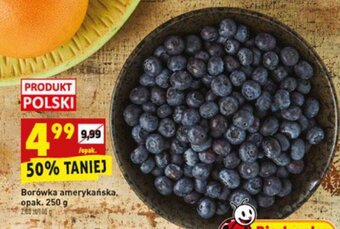 Biedronka Borówka amerykańska 250g oferta