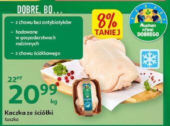 Auchan Kaczka ze ściółki auchan pewni dobrego oferta