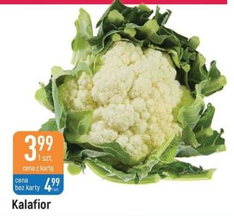 E.Leclerc Kalafior oferta