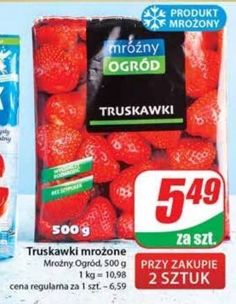Dino Truskawki mroźny ogród oferta