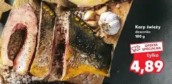 Kaufland Karp dzwonko oferta