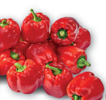 Stokrotka Optima Papryka oferta