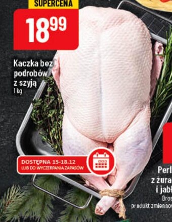 Polomarket Kaczka oferta