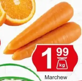 Hitpol Marchew 1kg oferta