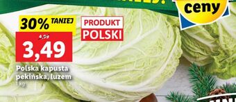 Lidl Kapusta pekińska oferta