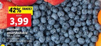 Lidl Borówka amerykańska oferta