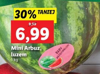 Lidl Arbuz mini oferta