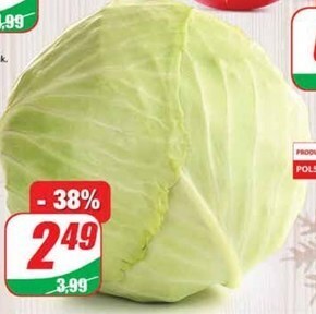 Dino Kapusta oferta