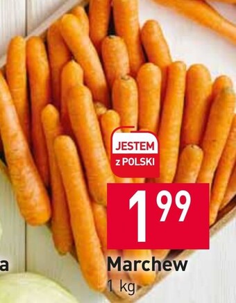 Stokrotka Market Marchew oferta