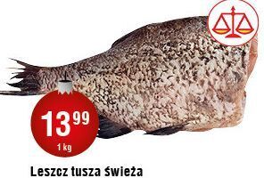 E.Leclerc Leszcz świeży tusza oferta