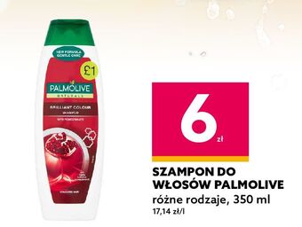 Dealz Szampon do włosów brilliant color palmolive naturals oferta
