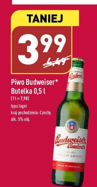 ALDI Piwo budweiser oferta