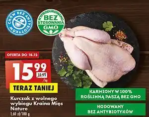 Biedronka Kurczak z wolnego wybiegu kraina mięs oferta