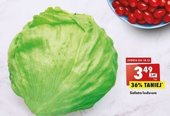 Biedronka Sałata lodowa oferta