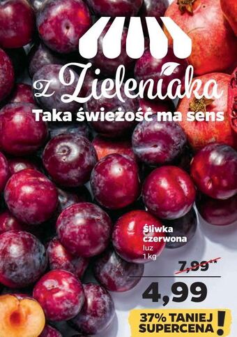 Netto Śliwki oferta