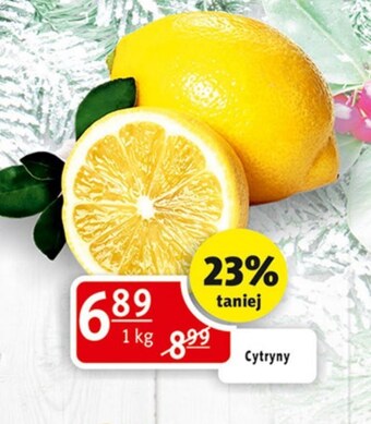 Prim Market Cytryna oferta