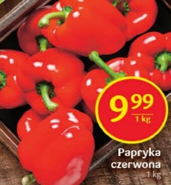Delikatesy Centrum Papryka oferta