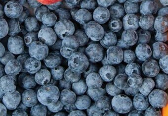 Lidl Borówki amerykańskie oferta