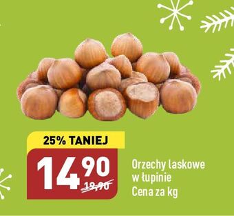 ALDI Orzechy laskowe w łupinie oferta