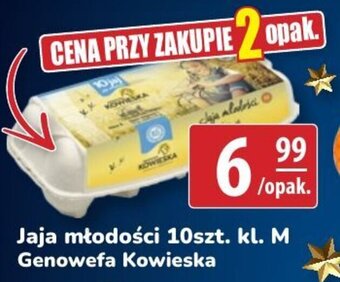 API MARKET Genowefa Kowieska jaja młodości 10szt. kl M. oferta