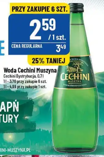 Polomarket Cechini Dystrybucja Woda Muszyna 0,7l oferta