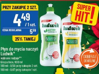 Polomarket Grupa Inco Ludwik Płyn do mycia naczyń 900ml wybrane rodzaje oferta