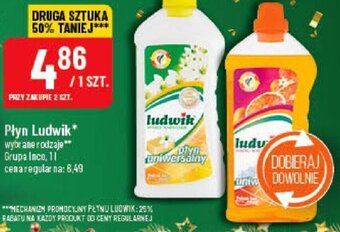 Polomarket Grupa Inco Płyn Ludwik wybrane rodzaje 1l oferta