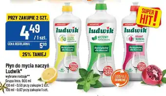 Polomarket Grupa Inco Ludwik Płyn do mycia naczyń 900ml wybrane rodzaje oferta