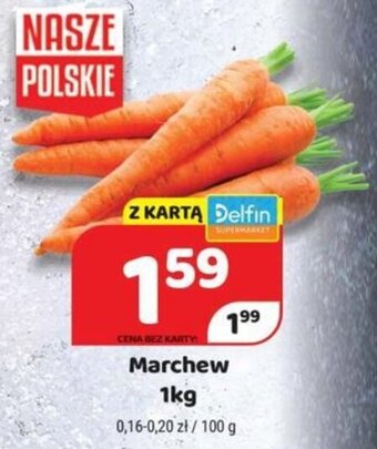 Delfin Marchew 1kg oferta