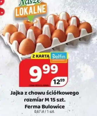 Delfin Ferma Bulowice Jaja z chowu ściółkowego rozmiar M 15szt. oferta