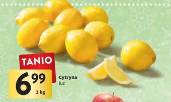 Intermarche Cytryny oferta