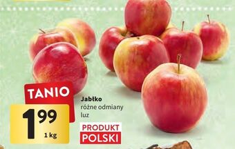 Intermarche Jabłka oferta