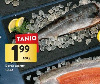 Intermarche Dorsz czarny oferta