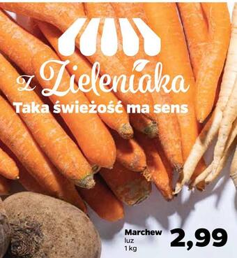 Netto Marchew oferta