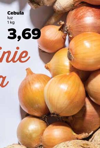 Netto Cebula oferta