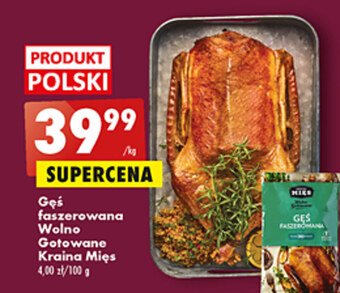 Biedronka Gęś kraina mięs oferta