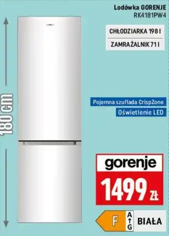 Neopunkt Gorenje Lodówka RK4181PW4 oferta