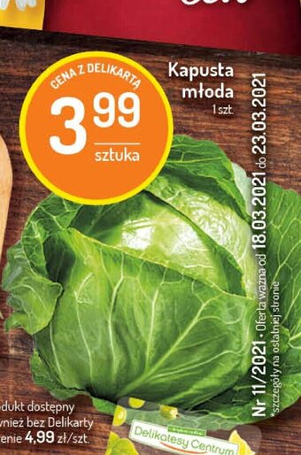 Delikatesy Centrum Kapusta młoda 1sztuka oferta